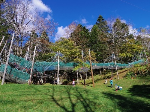 へびトンネル.jpg