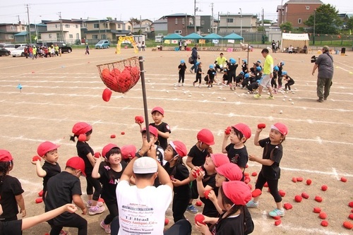 運動会 りす 玉入れ.jpg
