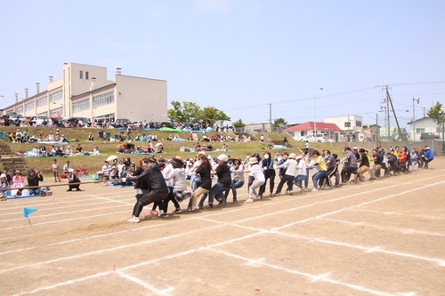 運動会 綱引き.jpg